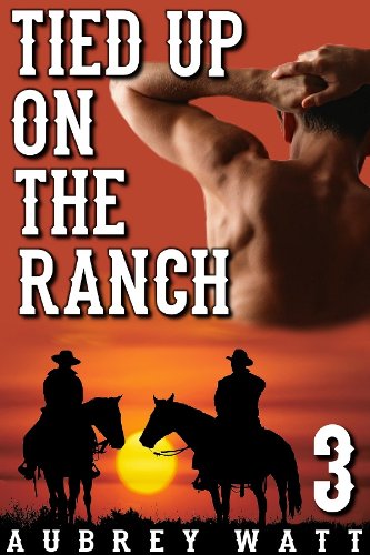 Tied Up on the Ranch (Gay Cowboys Erotic Romance Book 3)