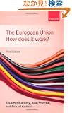 The European Union: How Does It Work? (New European Union)