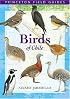 Birds of Chile (Princeton Field Guides)