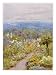 Kentish Garden, a Woman Picks Flowers from Large Herbaceous Borders in a Typical English Garden Giclee Poster Print, 18x24