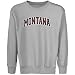 Montana Grizzlies Youth Ash Arch Applique Crew Nec...