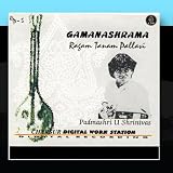 Gamanashrama: Mandolin