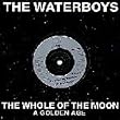 Whole of the moon (1985) [VINYL]