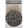 Identity Parade: New British and Irish Poets (New British & Irish Poets)