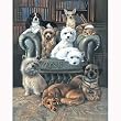 A Dog's Life 100pc Jigsaw Puzzle