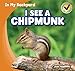 I See a Chipmunk (In My Backyard)