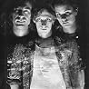 Image de Skin Yard