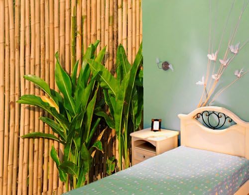 Photo wall mural no.41 WALL OF BAMBOO 157.48"x110.24" Wallpaper, wall art, wall decor, Bamboo wall, leaves, Asia, nature, background, brown, banana leaves, low-priced