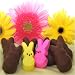 Easter Chocolate Covered Bunny Peeps - 8 piece