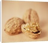 Canvas Prints of Walnuts from Science Photo Library