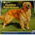 Golden Retrievers - American Kennel Club 2010 Wall Calendar