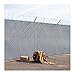Amazon-Suche
