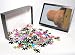 Photo Jigsaw Puzzle of Dhamekh stupa, Buddhist, pilgrimage site, Sarnath, near Varanasi, Uttar from Robert Harding