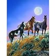 Under the Desert Moon 500pc Jigsaw Puzzle by Janene Grende