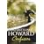 Confusion (Cazalet Chronicle)