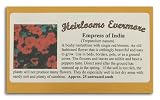 Heirlooms Evermore Empress of India (Pack of 10)