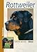 Image of Rottweiler (Heimtiere)