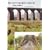 The Lost Railway Lines of Galloway
