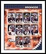 2006 Denver Broncos Team Composite NFL Framed 8x10 Photograph - CLOSEOUT SPECIAL