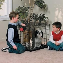 Midwest Life Stages Double-Door Folding Metal Dog Crate, 24 Inches by 18 Inches by 21 Inches