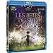 Les B�tes du Sud sauvage [Blu-ray]