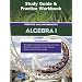 Study Guide and Practice Workbook - Prentice Hall Mathematics: Algebra 1