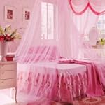 Icibgoods Dome Bed Canopy Netting Pri...