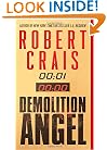 Demolition Angel