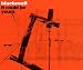 Anklicken zum Vergrößeren: Blackmail - It Could Be Yours (Audio CD)