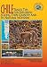 Chile Travel Tips for Exploring A Long, Thin Country and Its Natural Wonders