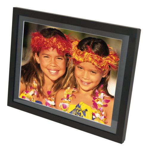 Portable USA Giant 15-Inch 256MB Digital Picture Frame with Two Real Wood Frames (PU15W)