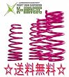 JIC X-マジック(1台分) ダウンサスペンション キューブ Z10 CG13DE 98/2~ H100B60