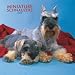   - Schnauzers, Miniature 2008 Square Wall Calendar
