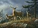 TUFTOP Cutting Board TT92002 Deer - Autumn Whitetail - Medium (12' 'x16' ')