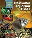 Book Questions and Answers on Freshwater Aquarium Fishes: Everything You Need to Know to Successfully Raise Healthy Fish