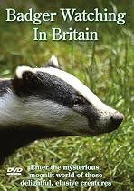 Badger Watching In Britain [2007]