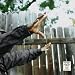 Madvillainy 2: The Madlib Remix [Explicit]