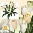 Six 19" Artificial Tulip Flower Bushes in Yellow and Green for Home, Garden and Wedding Decoration