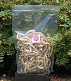 わんのはな　サメなんこつ君【大型犬用】ドライボーン1kg【送料無料】の画像