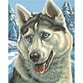 Schipper 9240 393 - Malen nach Zahlen, Husky, 24x30 cm