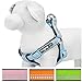 Blueberry Pet Step-in Harnesses 3M Reflective 5/8