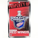 DETROIT RED WINGS 2008 STANLEY CUP CHAMPS DOOR SIGN