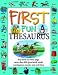 Book First Fun Thesaurus (First Fun)