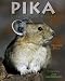 Pika: Life in the Rocks