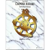 Carmina Burana (Bra�l) - Cht/Popar Orff C