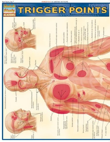 Trigger Points Quick Study Academic142335267X