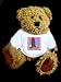 Teddy Bear mit Italien, reisen, Schiefe Turm von Pisa t-shirt