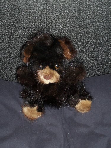 51yZFhXbMtL Rare Bear Genuine Mink Teddy Bear