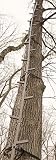 Guide Gear&reg; 20' Climbing Stick