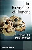 The emergence of humans : an exploration of the evolutionary timeline